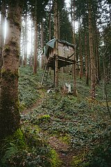 Ein Tag im Altdorfer Wald bei Ravensburg im Frühling 2025
