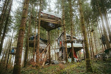 Ein Tag im Altdorfer Wald bei Ravensburg im Frühling 2025