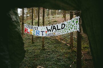 Ein Tag im Altdorfer Wald bei Ravensburg im Frühling 2025