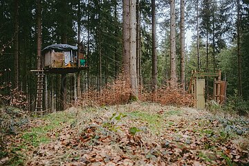 Ein Tag im Altdorfer Wald bei Ravensburg im Frühling 2025
