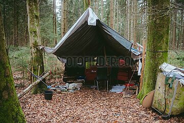 Ein Tag im Altdorfer Wald bei Ravensburg im Frühling 2025