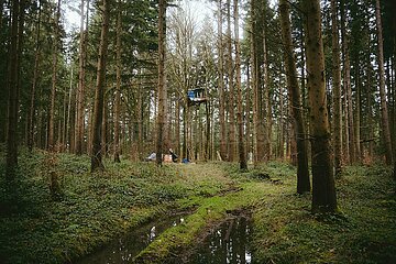 Ein Tag im Altdorfer Wald bei Ravensburg im Frühling 2025