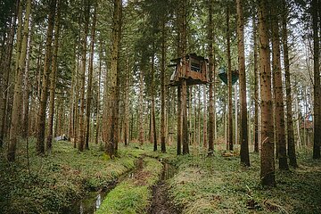 Ein Tag im Altdorfer Wald bei Ravensburg im Frühling 2025