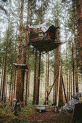 Ein Tag im Altdorfer Wald bei Ravensburg im Frühling 2025