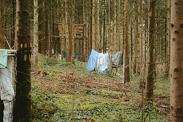 Ein Tag im Altdorfer Wald bei Ravensburg im Frühling 2025