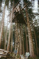 Ein Tag im Altdorfer Wald bei Ravensburg im Frühling 2025
