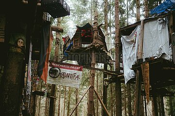Ein Tag im Altdorfer Wald bei Ravensburg im Frühling 2025