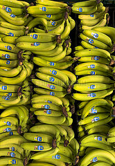 Deutschland  Tostedt - Chiquita-Bananen in einem Supermarkt