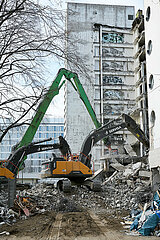 Berlin  Deutschland - Bagger bei Abrissarbeiten eines Plattenbaus an der Mollstrasse in Berlin-Mitte.