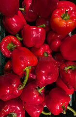 Deutschland  Tostedt - Paprika in einem Supermarkt