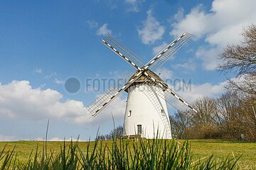 Milde Temperaturen und sonniges Wetter am Egelsberg in Krefeld