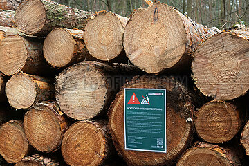 Berlin  Deutschland  Warnschild Holzpolter bitte nicht besteigen