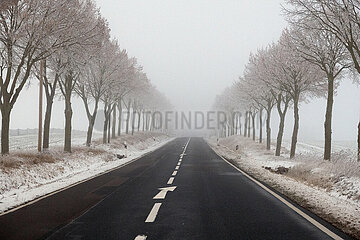 Usedom  Deutschland  Landstrasse in winterlicher Landschaft