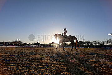 Doha  Katar  Reiter und Pferde beim morgendlichen Training