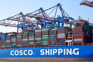COSCO SHIPPING Sagittarius am Eurogate-Terminal