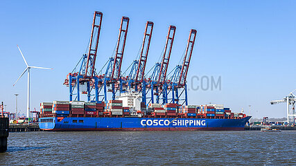 COSCO SHIPPING Xin Xia Men am Terminal Tollerort