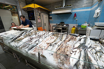 Albanien  Tirana - Marktstand mit Fisch