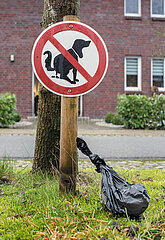 Hunde-Kot