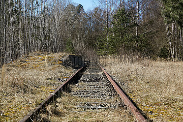 Fuerstenberg / Havel  Brandenburg  Deutschland - Ueberreste von Eisenbahngleisen auf dem Areal des Siemenslagers Ravensbrueck.