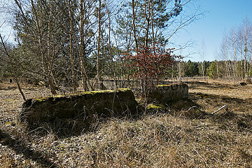 Fuerstenberg / Havel  Brandenburg  Deutschland - Ueberreste von ehemaligen Fundamenten der Fertigungshallen auf dem Areal des Siemenslagers Ravensbrueck.