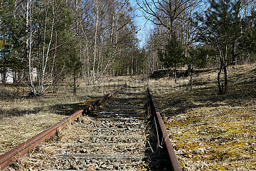 Fuerstenberg / Havel  Brandenburg  Deutschland - Ueberreste von Eisenbahngleisen auf dem Areal des Siemenslagers Ravensbrueck.
