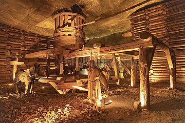 Salzbergwerks Wieliczka