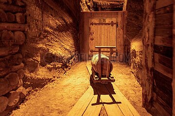 Salzbergwerks Wieliczka