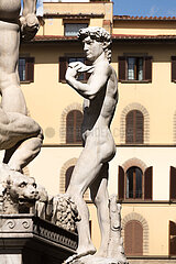 Florenz  Toskana  Italien  ITA - David von Michelangelo Buonarroti
