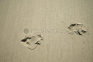 Knokke  Belgien  BE - Nordsee-Strand