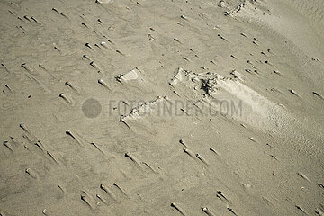 Knokke  Belgien  BE - Nordsee-Strand