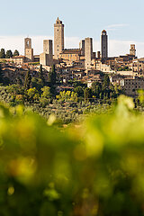 San Gimignano  Toskana  Italien  ITA - Panorama auf die Altstadt mit mittelalterlichen Tuermen (Geschlechtertuerme)