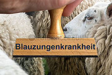 Symbolischer Stempel Blauzungenkrankheit