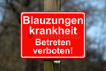 Symbolisches Schild Blauzungenkrankheit