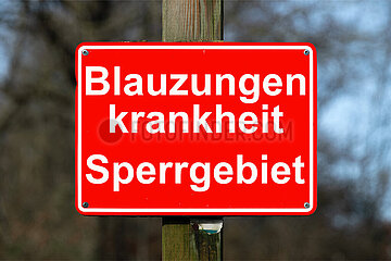 Symbolisches Schild Blauzungenkrankheit