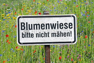 Symbolisches Schild Blumenwiese ...