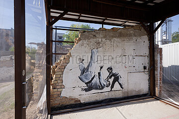 Borodjanka  Oblast Kiew  Ukraine  UA - Wandbild des Streetart-Kuenstlers Banksy-Judo Wettkampf