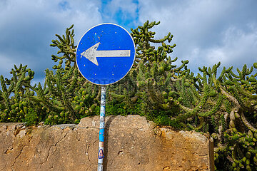 Kakteenhecke mit Strassenschild  Sagres  Algarve  Portugal