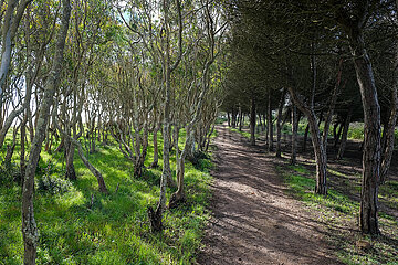 Wanderweg  Naturpfad Castelejo  Vila do Bisbo  Algarve  Portugal