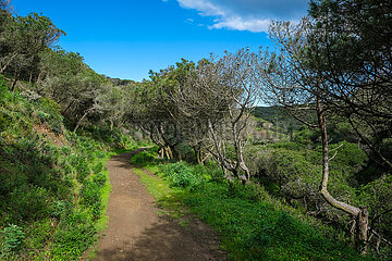 Wanderweg  Naturpfad Castelejo  Vila do Bisbo  Algarve  Portugal