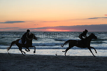Dierhagen  Silhouette: Frauen reiten bei Daemmerung auf ihren Pferden am Strand der Ostsee