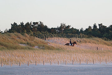Dierhagen  Frau reitet am Abend auf ihrem Pferd durch die Duenen zum Strand