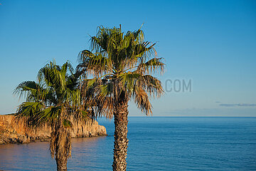 Kuestenlandschaft  Sagres  Algarve  Portugal