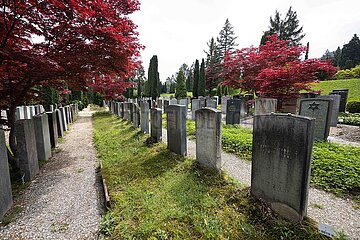 Israelitischer Friedhof Oberer Friesenberg in Zürich