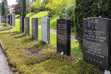 Israelitischer Friedhof Oberer Friesenberg in Zürich