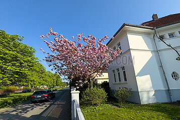 Deutschland  Verden - Villa an einer Strasse in der Kleinstadt